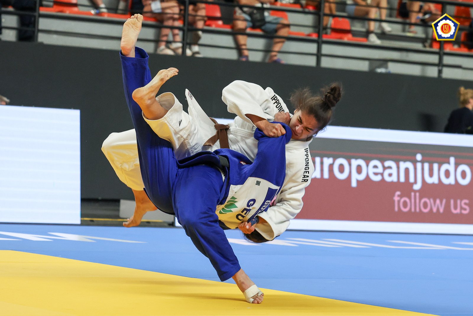 Carlos-Ferreira-Millennium-Team-European-Judo-Championships-Cadets-Skopje-2025-2025-382752